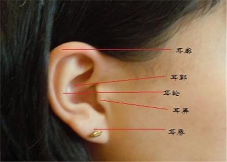 女人耳朵有痣代表什么图解！ 耳朵的痣图解
