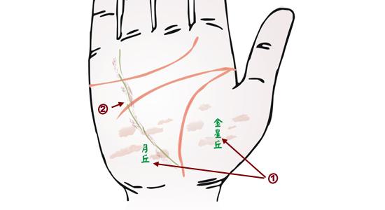 肝病手纹有哪些特征 手纹的特征