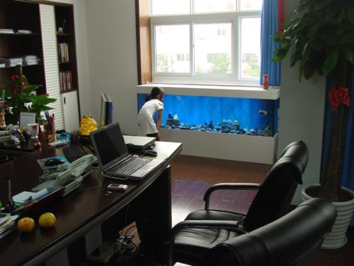 办公室内应该如何摆放鱼缸养殖风水鱼 风水鱼办公室摆放位置