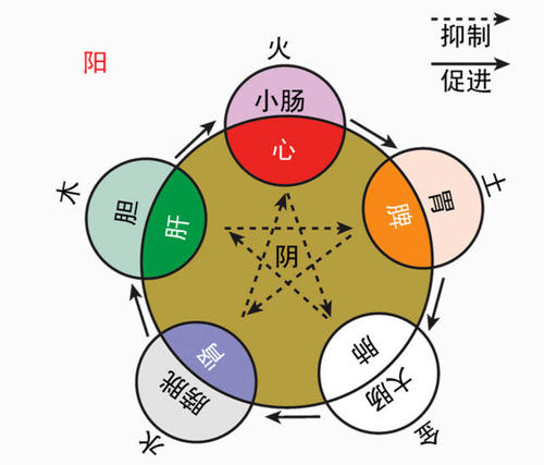 五行取名字的原则是什么