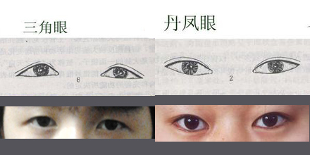 丹凤眼三角眼的区别是什么 三角眼和丹凤眼的区别