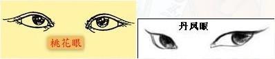 桃花眼和双凤眼区别 标准双凤眼图片