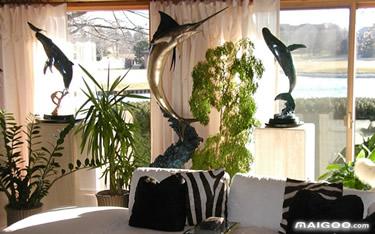 客厅绿植花卉选择与摆放风水 客厅绿植风水学