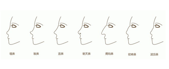 驼峰鼻面相分析 女人驼峰鼻面相解释