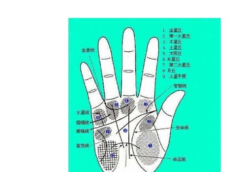 手纹算命图解 男人左手手纹算命图解