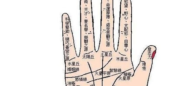 手相疾病与健康怎么看解析 怎么看手相