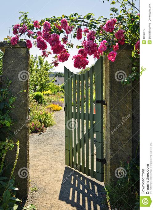 大门两侧种玫瑰花对人是否有好处 喝玫瑰花对人有什么好处