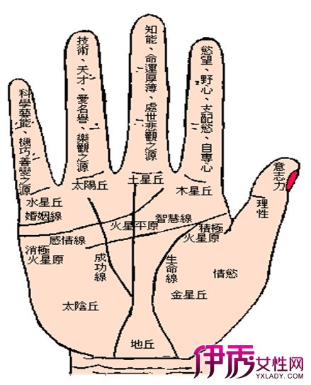 手纹算命图解 女性哪种手相好 看手纹