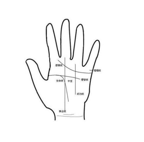 手掌纹路 手掌的掌纹有几种类型