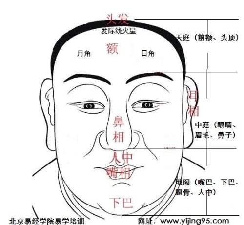 男女额头低窄面相解析命运 额头窄的面相