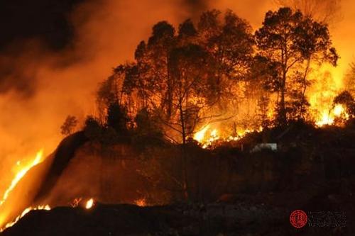 山头火命和路旁土命 山头火和路旁土婚配