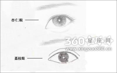 杏仁眼是什么样的 百度识别眼型