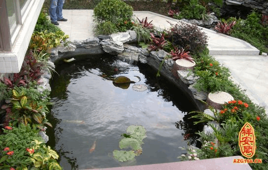 你一定要知道的关于别墅庭院鱼池的风水事项 别墅庭院鱼池设计