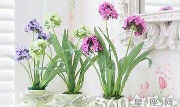 养花风水 对风水有利的花有哪些 家中种什么花里风水