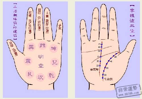 关于章子怡手纹面相解析 章子怡手纹