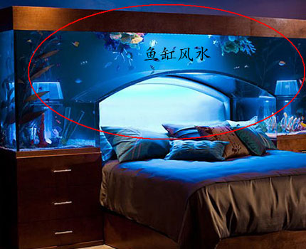 注意卧室风水 专家称鱼缸别放卧室 卧室里养鱼隐患多影响健康 卧室可以放鱼缸养鱼吗
