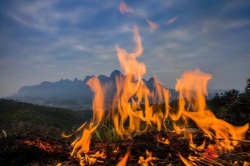 山头火和什么配 山头火最配的是什么 山头火配什么