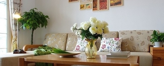 家里风水植物放客厅如何做 客厅植物摆放风水禁忌