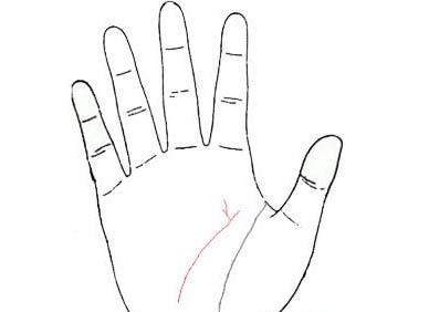 手相智慧线中间分叉代表什么 手相 智慧线