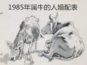 1949年属牛的人2011年运程 1949年属什么 1949年属相 1949年属牛的运势