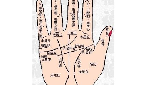 手纹看相图解的知识解析 手掌看相图解