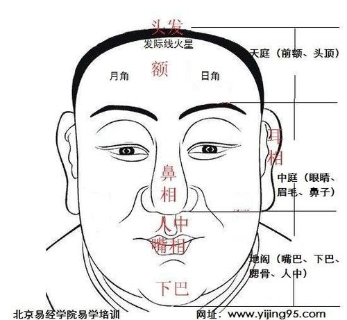 女人面相耳垂耳朵怎么看 耳朵看面相