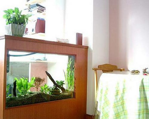 餐厅鱼缸摆放风水图 鱼缸放在餐厅风水好吗