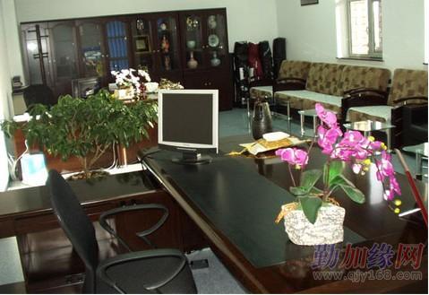 办公室摆放各种植物 办公室风水植物摆放