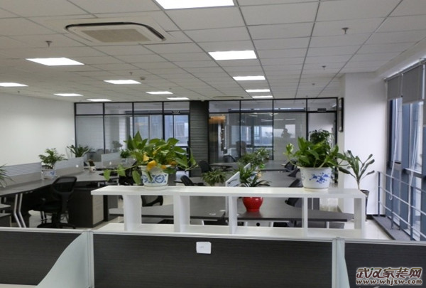 办公室内植物摆放风水 办公室放植物风水