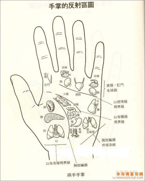 手掌相学如何解析 手掌纹路都代表什么寓意 手掌看相