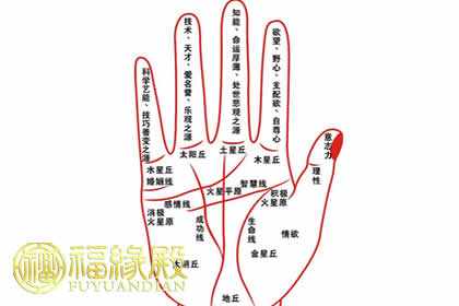 手相手指间隙大小是什么意思 手指有间隙是什么原因