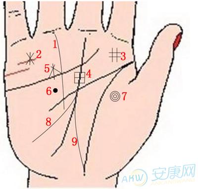手形手色的鉴别方法★掌纹手相★ 四条掌纹手相