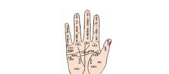手掌中的指纹预测算命 手掌指纹算命图解