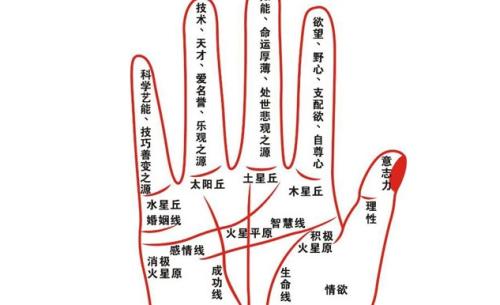 手相指纹图解：斗和簸箕怎么算命分析 指纹手相簸箕的说法
