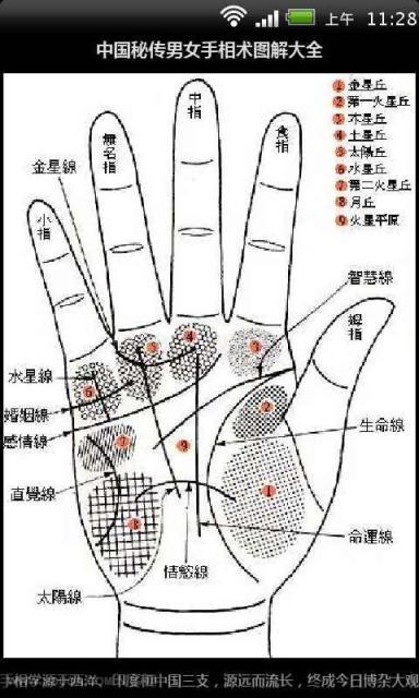 女子右手掌纹图解分析 女人哪种手相好 女右手掌纹