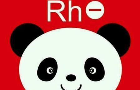 rh血型是什么意思 熊猫血小时任性大时果敢 b型血为什么是熊猫血