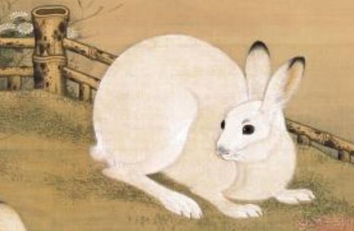 生肖属兔的人清明节出生好不好是什么命 属兔清明出生命运 属牛和属兔的婚姻如何