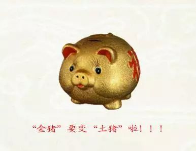 金猪年是哪一年 下一个金猪年是2031辛亥年 下一个猪年要等几年