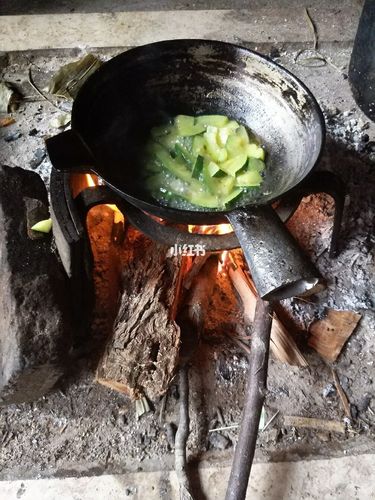 梦见烧火煮饭是什么意思【好不好】 桉树烧火做菜有害吗