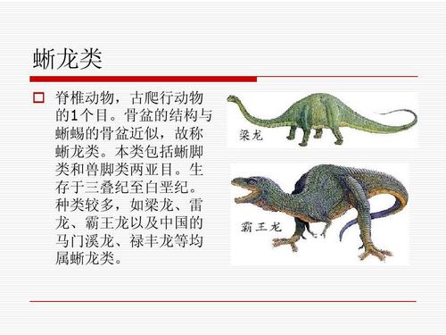 恐龙是如何命名的 恐龙大全