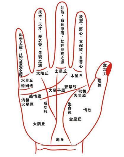 9种手纹的女人命好图 象征财富的9种手纹 川字手纹的女人命运