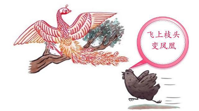 属鸡下元节十月十五出生命运如何 属鸡最吉利的出生日子 属鼠吉利名字