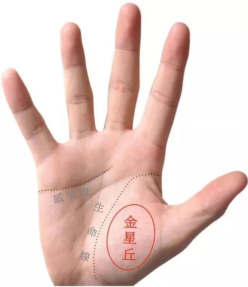 手相解析  手指的上中下三个指节各代表什么意思 大拇指有三条横纹手相