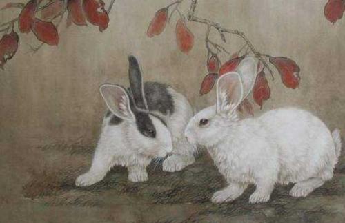 几月出生的属兔人财运最旺 属兔的几月份出生好