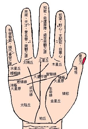 生男生女手相怎么看 手掌纹线路分析 手相断掌是什么意思