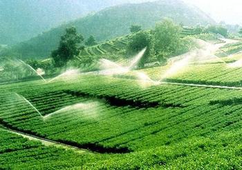 周公解梦 梦见灌溉、浇水、浇地 梦见浇水灌溉农田