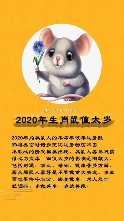 2020年83岁属什么生肖，2020年83岁是什么命 明年属鼠的是什么命