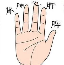 5个手指分别代表什么意思  通过手指看命运 从手指长短看财运